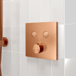 Blaufoss Smartbox thermostatische inbouw douchekraan, inbouwelement inbegrepen
