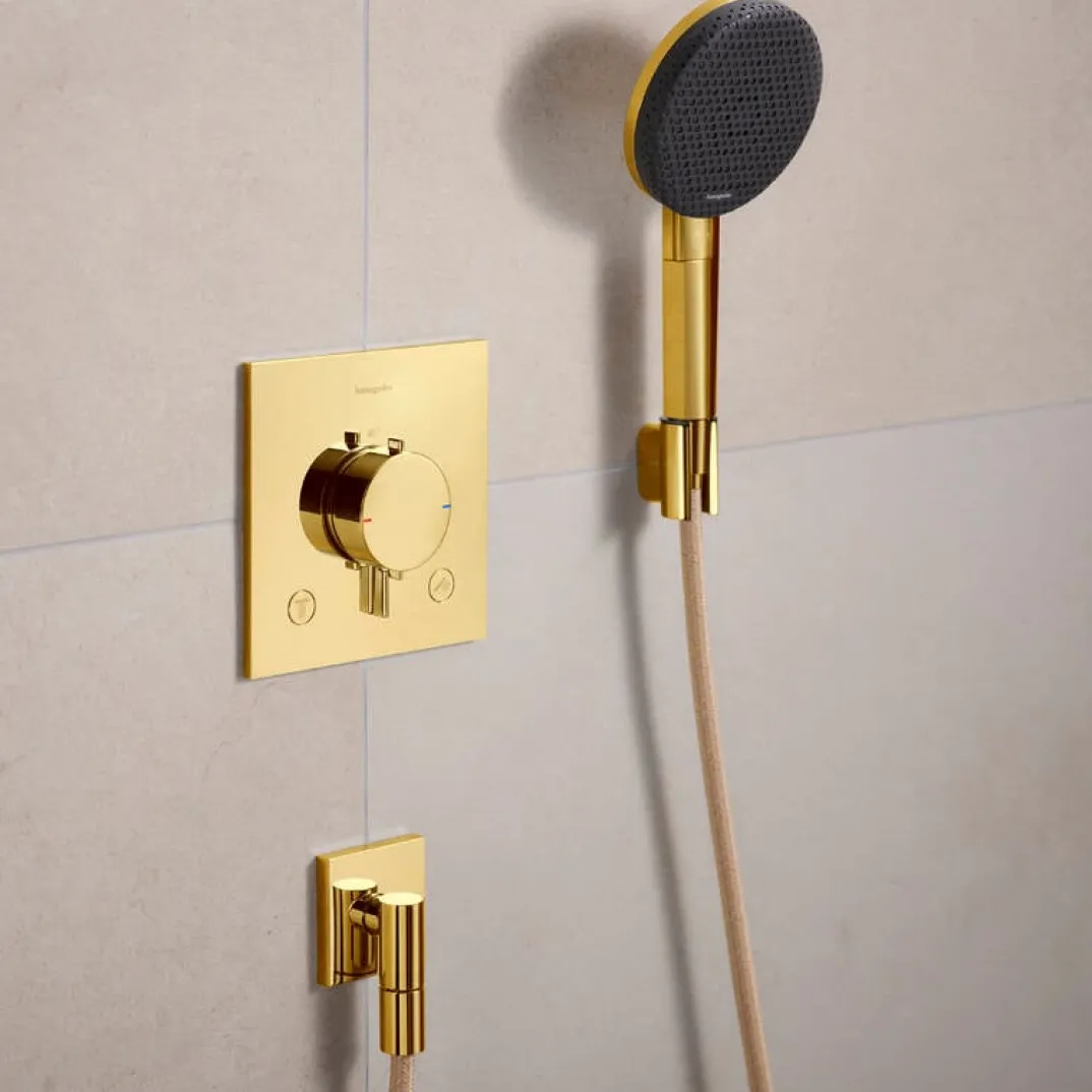 Hansgrohe Ecostat Comfort E thermostatische inbouw douchekraan, inbouwelement niet inbegrepen