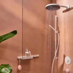 Hansgrohe Pulsify S100 EcoSmart handdouche