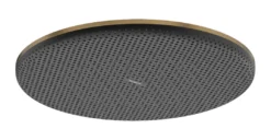 Hansgrohe Raindance Alive S regendouchekop