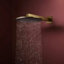 Hansgrohe Raindance Alive S regendouchekop