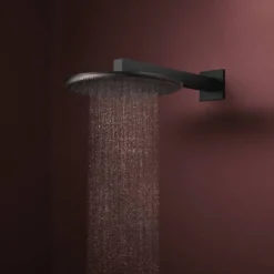 Hansgrohe Raindance Alive S regendouchekop