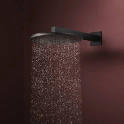 Hansgrohe Raindance Alive S regendouchekop