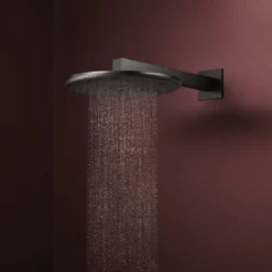 Hansgrohe Raindance Alive S regendouchekop