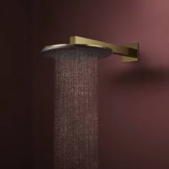 Hansgrohe Raindance Alive S regendouchekop