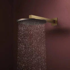 Hansgrohe Raindance Alive S regendouchekop
