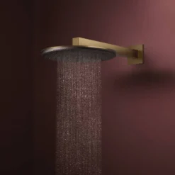 Hansgrohe Raindance Alive S regendouchekop