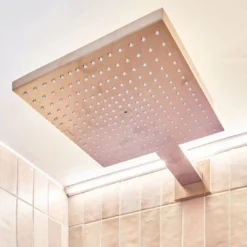 Hansgrohe Raindance E300 regendouchekop