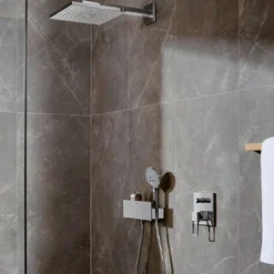 Hansgrohe Raindance Select S120 handdouche