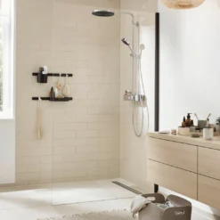 Hansgrohe WallStoris tandenborstelhouder