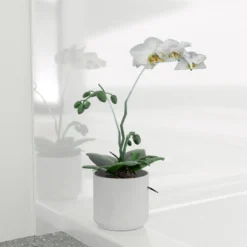 Linie Wall douchewandbekleding
