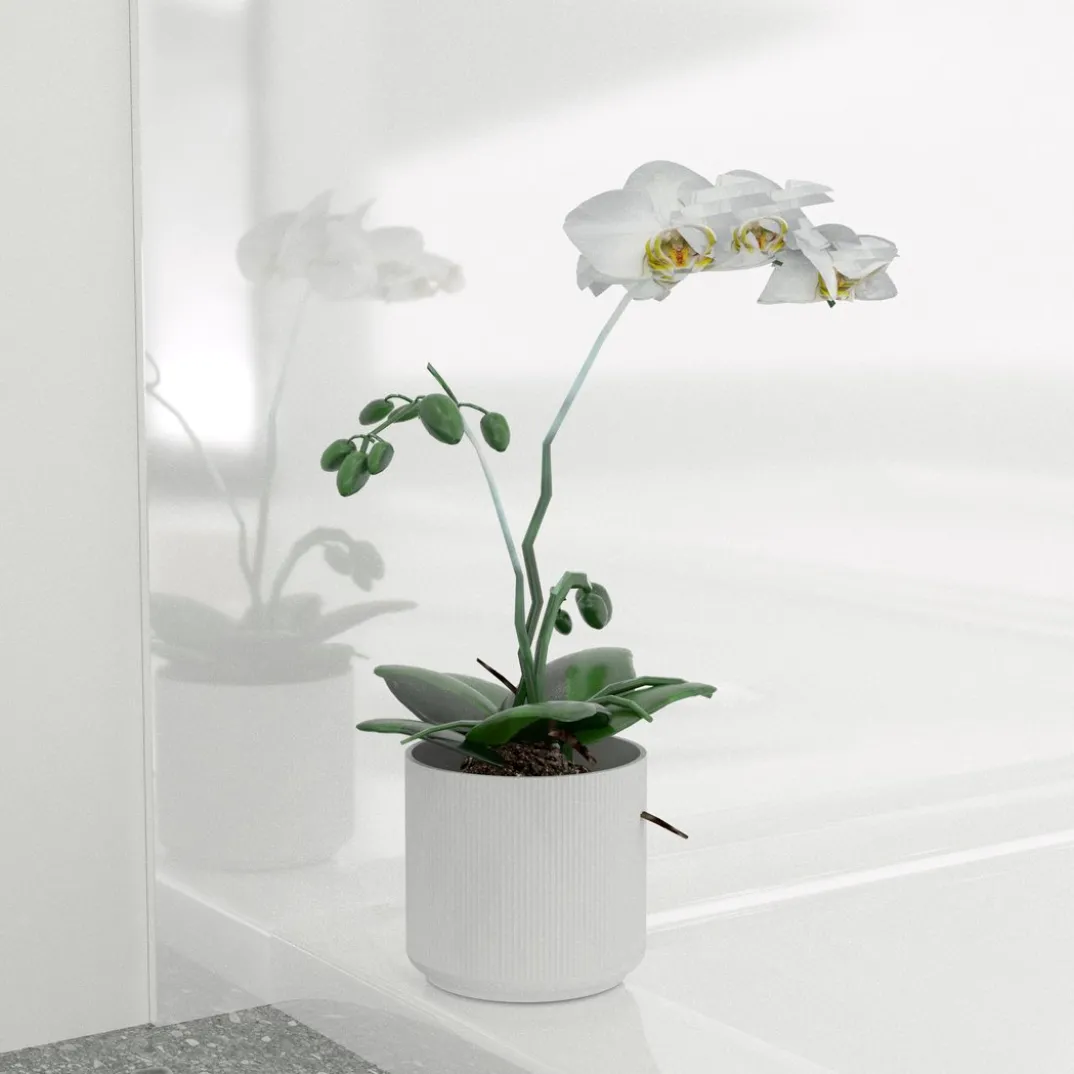 Linie Wall douchewandbekleding